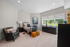 Lower Level Guest bedroom