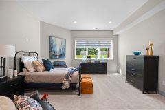 Lower Level Guest bedroom