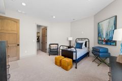 Lower Level Guest bedroom