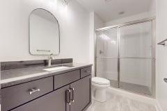 Lower Level Guest Bath and Shower