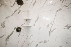 Lower Level Guest Bedroom Shower