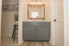 Jack and Jill bathroom in custom home cincinnati