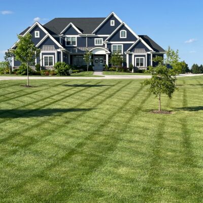 Tradition First Floor Master Home Blue Siding White Trim