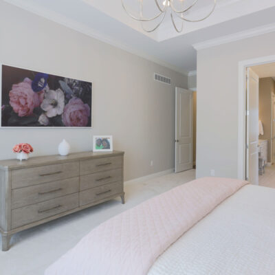 Primary Bedroom with Tray Ceiling and Luxury Bathroom