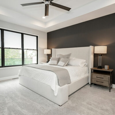 Primary Bedroom with Tray Ceiling and Walk-in Closet