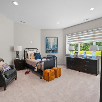 Lower Level Bedroom With Walk-In Closet Travel Theme