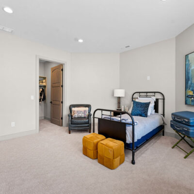 Lower Level Bedroom With Walk-In Closet Travel Theme